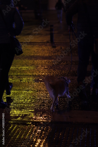 People in the street at night