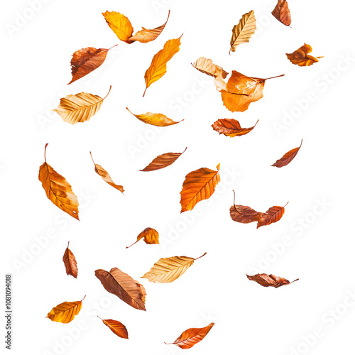 Autumn leaves falling PNG isolated on transparent background