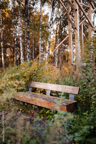 Bench in the autumn forest