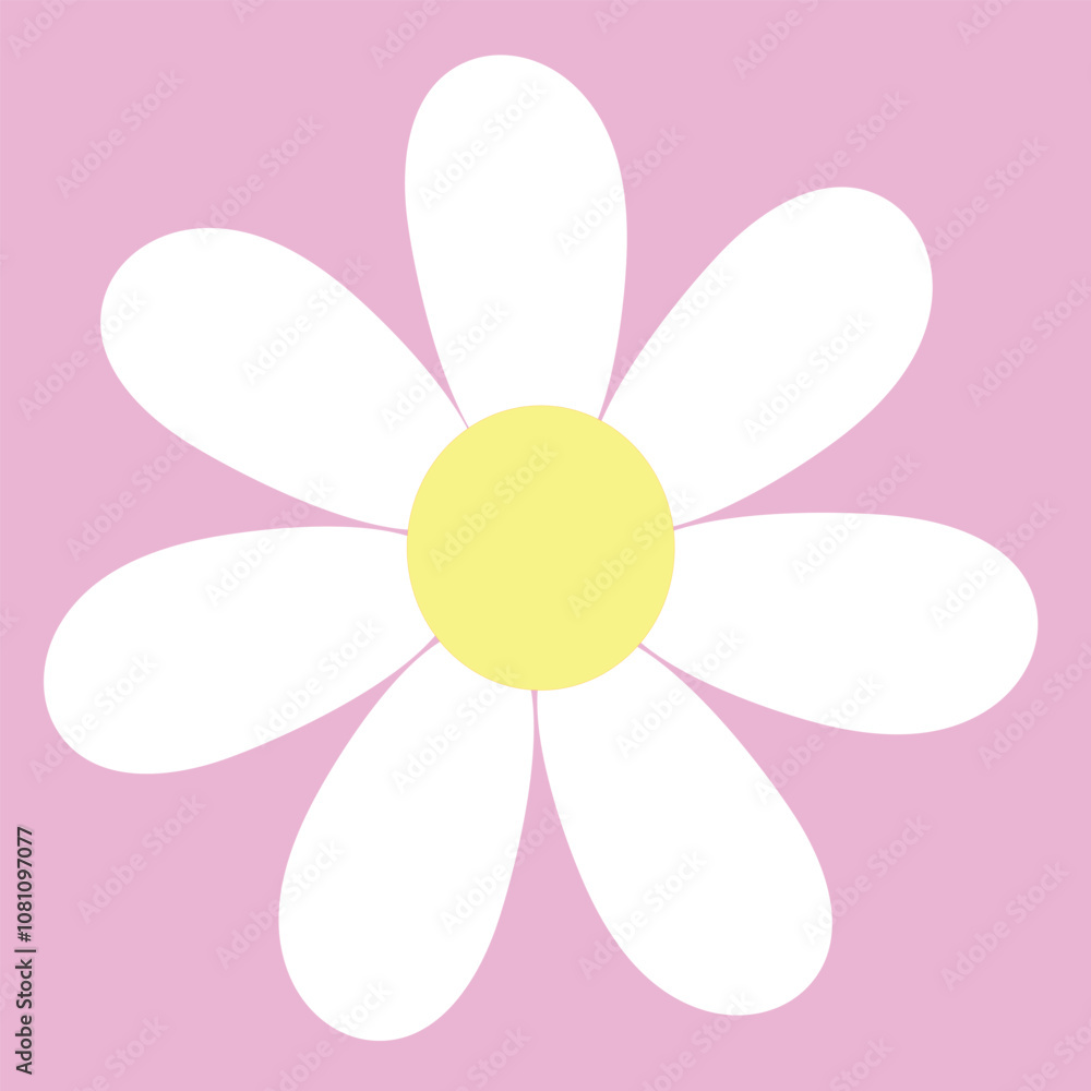 white daisy flower on pastel color background white daisy flower on pastel color background