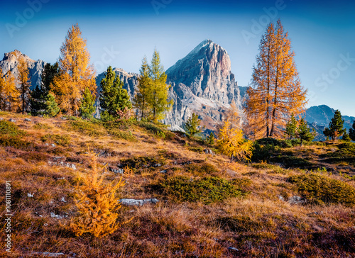 Colorful autumn view from top of Falzarego pass with Tofana peak on background. Stunning morning scene Dolomite Alps, Cortina d'Ampezzo lacattion, Italy. Beauty of nature concept background..