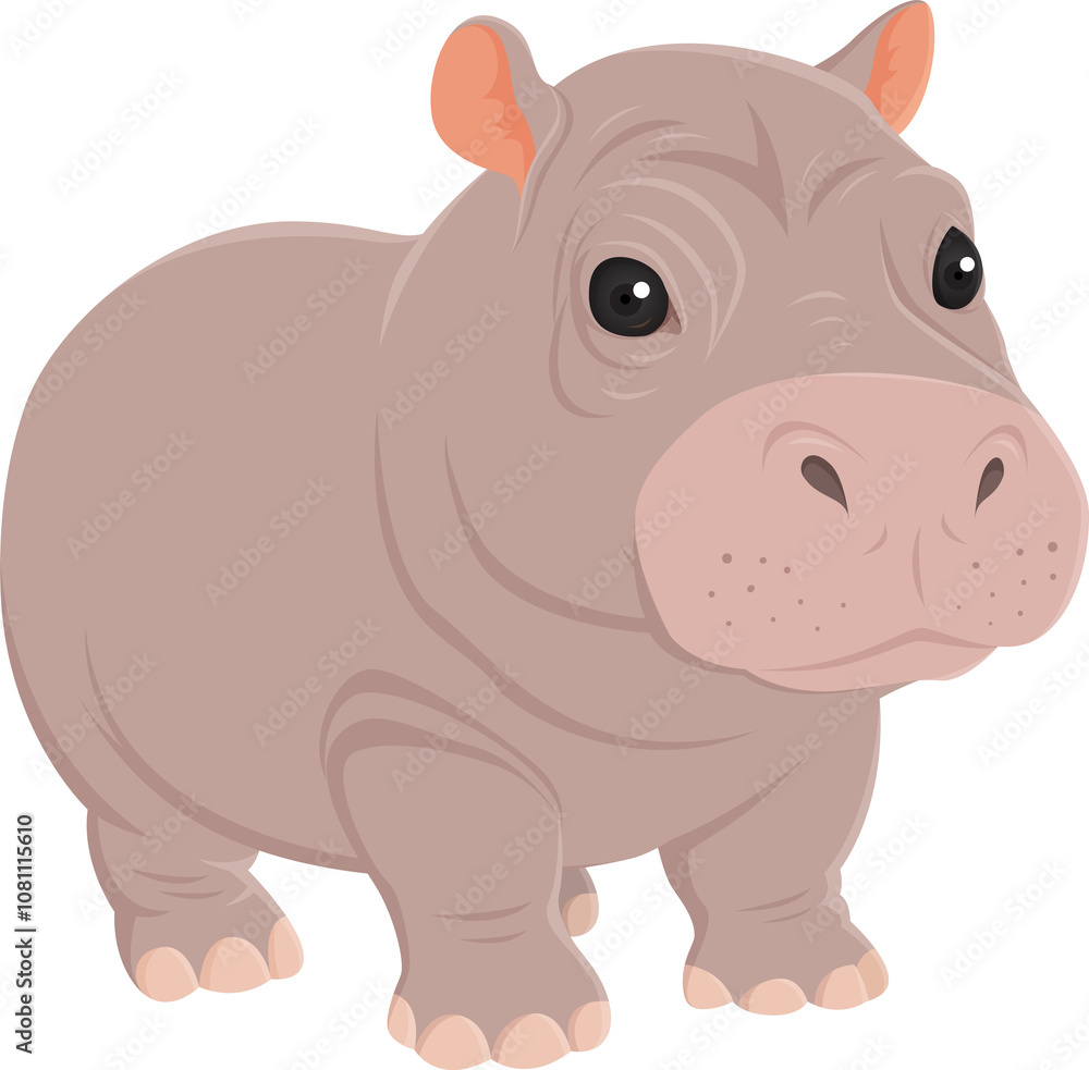 Hippo pygme character illustration design Hippo pygme character illustration design