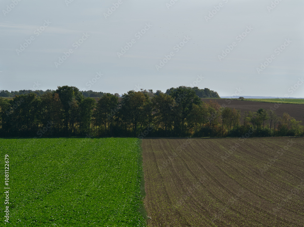 geteiltes Feld