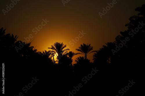 Golden hour magic with palm trees against the evening sky