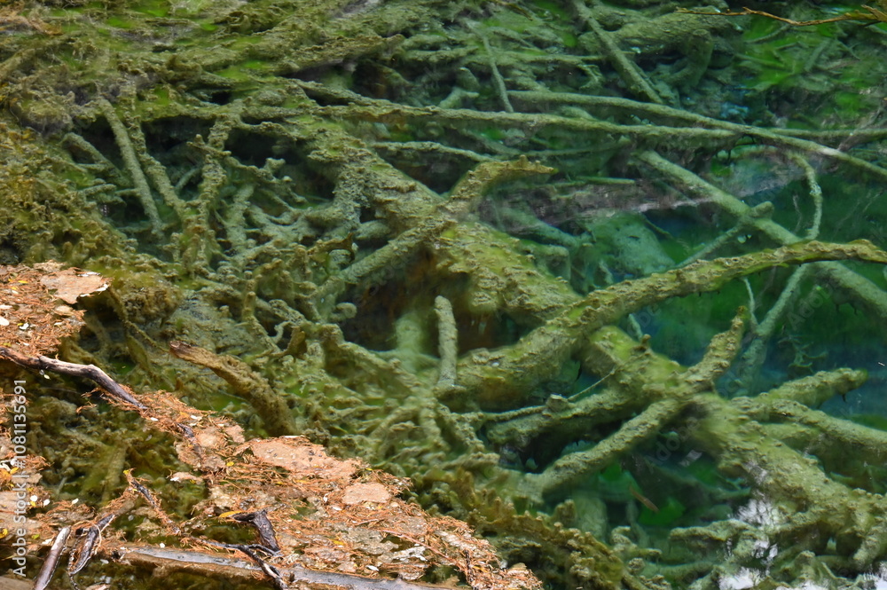 Lac Vert à Névache (05)
