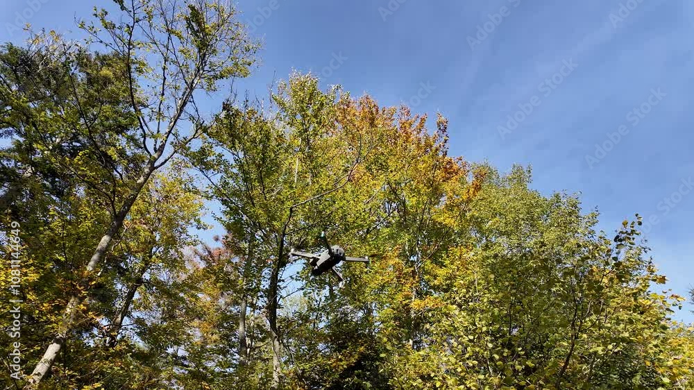 A drone flies above vibrant autumn trees under a clear blue sky, capturing nature's beauty A drone flies above vibrant autumn trees under a clear blue sky, capturing nature's beauty