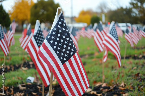 A field of American flags planted in a public park, representing unity and American pride