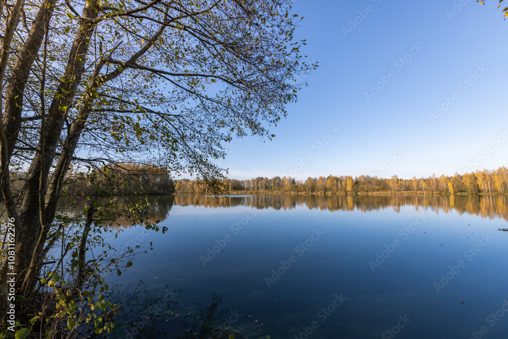 Obraz premium A lake with a tree in the background