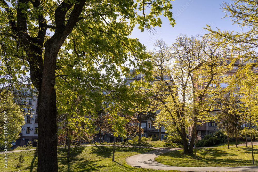 Park with a tree in the foreground and a path leading to it