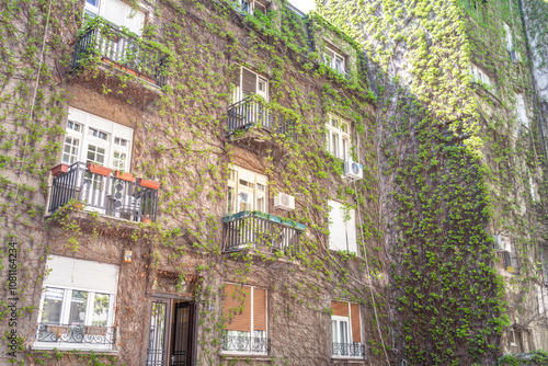 Wallpaper Mural Building covered in ivy and vines Torontodigital.ca
