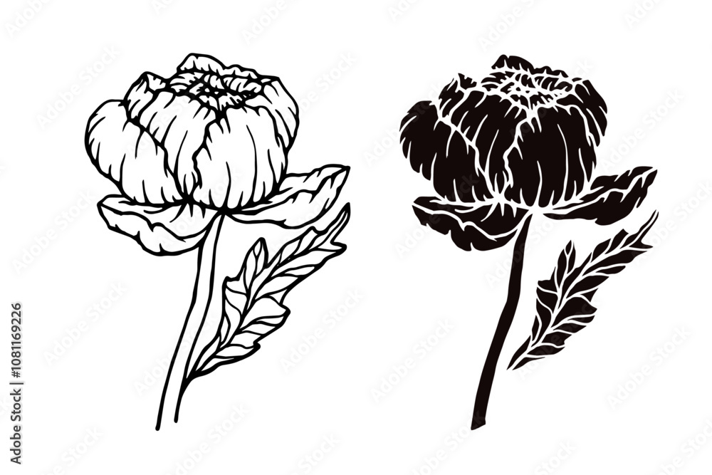 Linear sketch,silhouette,stamp of peony flower.Decorative botanical element.Vector graphics. Linear sketch,silhouette,stamp of peony flower.Decorative botanical element.Vector graphics.