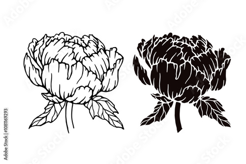 Linear sketch,silhouette,stamp of peony flower.Decorative botanical element.Vector graphics.