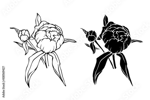 Linear sketch,silhouette,stamp of peony flower.Decorative botanical element.Vector graphics.