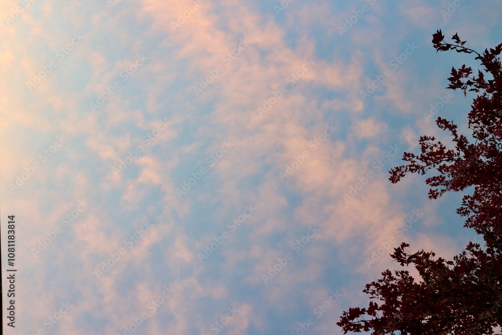 Fototapeta premium Sunset in Autumn in Ottawa, Ontario, Canada