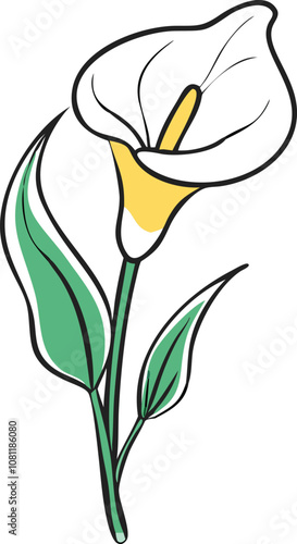 White calla lily with green leaf illustration, Vector illustration of a white calla lily flower featuring a curved petal, yellow spadix, and a single green leaf, outlined in a delicate style.
