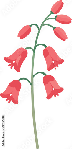 Pink bell-shaped flowers on slender green stem, Vector illustration of a tall green stem with multiple pink bell-shaped flowers hanging gracefully, showcasing a delicate and elegant design.
