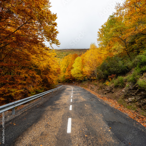 Mountain road that circulates between the trees of the forest with autumn colors, Madrid, Spain.