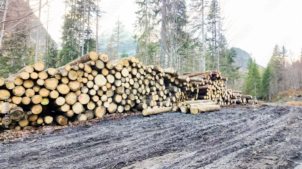 Pile of stacked logs in a forest clearing, highlighting deforestation and environmental impact, suitable for Earth Day concepts Pile of stacked logs in a forest clearing, highlighting deforestation and environmental impact, suitable for Earth Day concepts