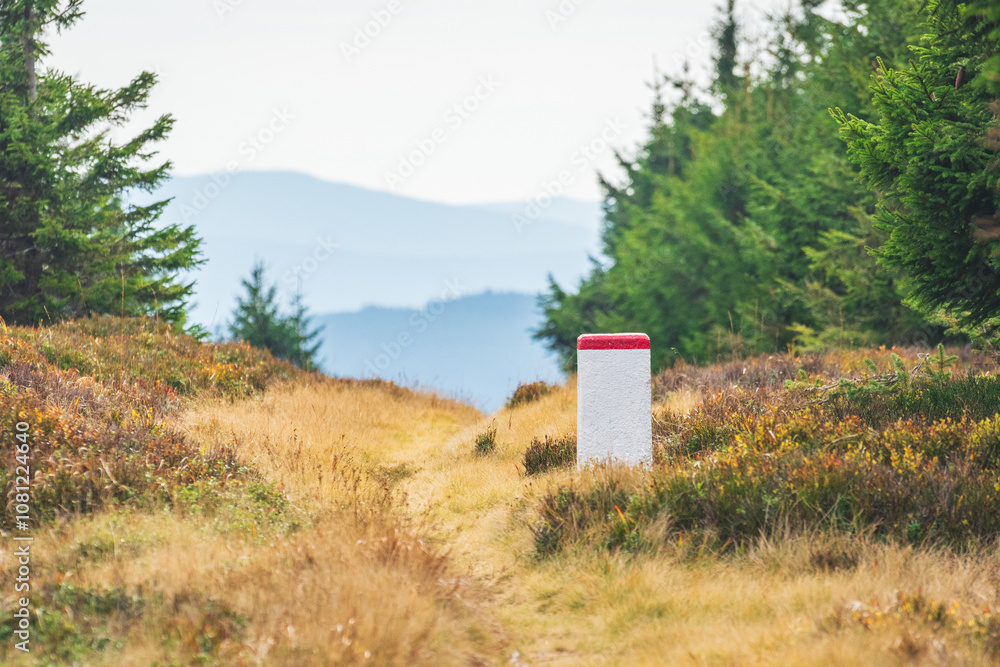 Karkonosze Mountains, Western Sudetes, Polish-Czech border post on a mountain hiking trail leading through the forest along the state border. Mountain landscape on a sunny day.