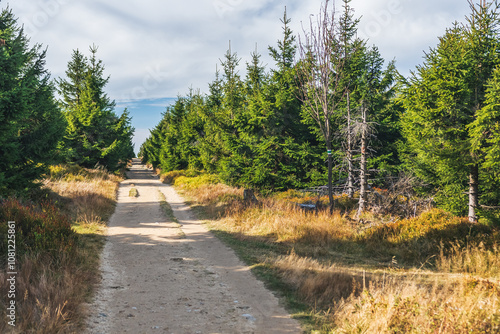 Obraz na płótnie Karkonosze Mountains, Western Sudetes, gravel path on the hiking trail leading to the top of Smrk Mountain. Mountain landscape on a sunny day. w salonie