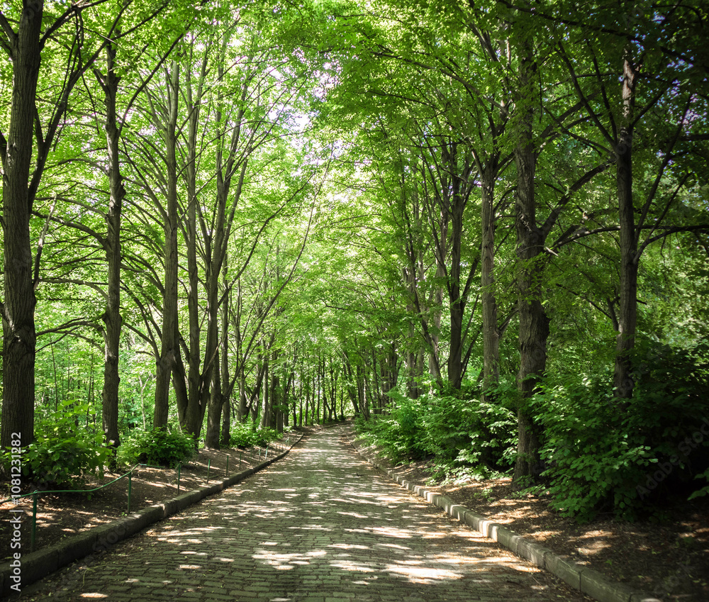 Green alley with trees in the park - tiles footpath, leaving in perspective into the park, ground lights and trees plants in a row along the walkway