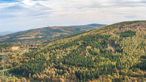 Obraz na płótnie Karkonosze Mountains, Western Sudetes, vast mixed forest in the mountains, view from the observation tower on the top of Czerniawska Kopa mountain. Mountain landscape on a cloudy autumn day. w salonie