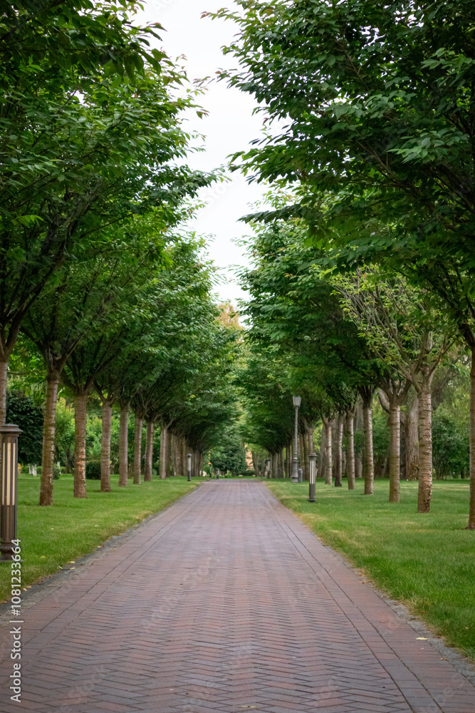 Green alley with trees in the park - tiles footpath, leaving in perspective into the park, ground lights and trees plants in a row along the walkway Green alley with trees in the park - tiles footpath, leaving in perspective into the park, ground lights and trees plants in a row along the walkway