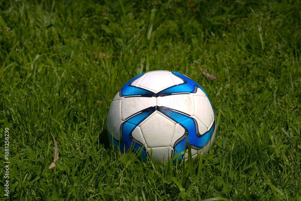 Fototapeta premium white and blue patterned soccer ball in grass