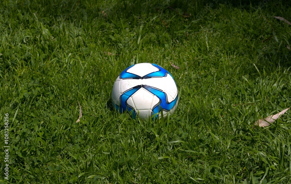 Fototapeta premium white and blue patterned soccer ball in grass