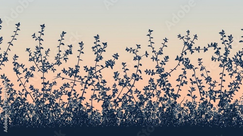 Silhouette of Wildflowers and Plants at Sunset, Nature Background, Floral Design Element