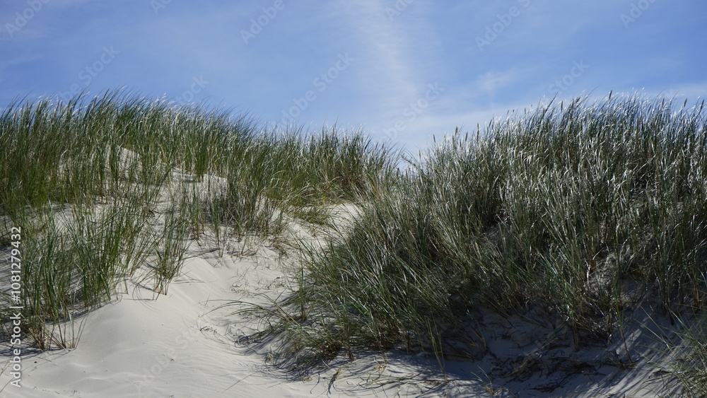 Moving dunes by the sea in Poland
Moving dunes by the sea in Poland