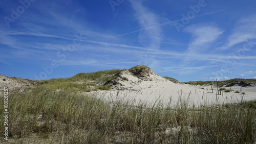 Fototapeta Naklejka Na Ścianę i Meble -  Moving dunes by the sea in Poland

