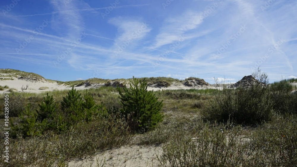 Moving dunes by the sea in Poland
Moving dunes by the sea in Poland