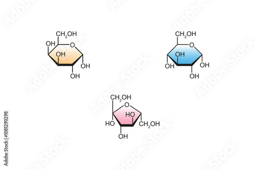 Types of Monosaccharides (Glucose, Galactose and Fructose) Science Design. Vector Illustration.