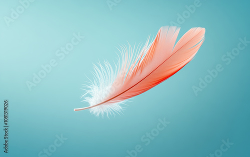 Beautiful colorful feather business background