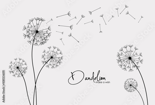 Vector illustration dandelion seed blowing in the wind.