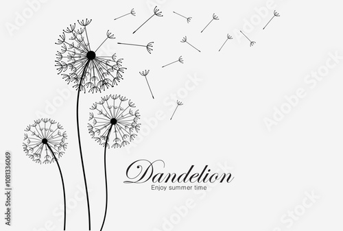 Vector illustration dandelion seed blowing in the wind.