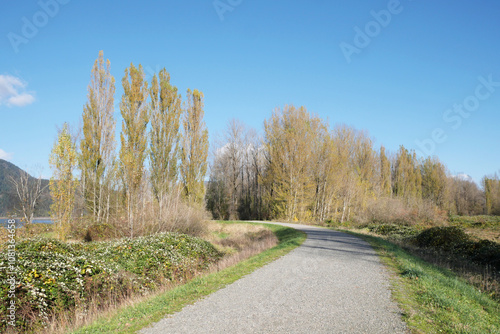 Island 22 Regional Park along Fraser River during a fall season in Chilliwack, British Columbia, Canada