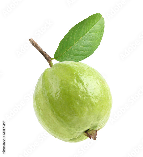 Fresh Guava fruit with leaf isolated on white background.  Clipping path.