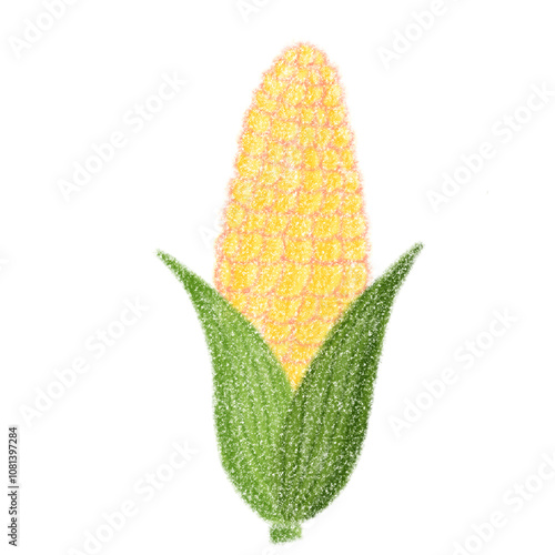 Fresh corn icon