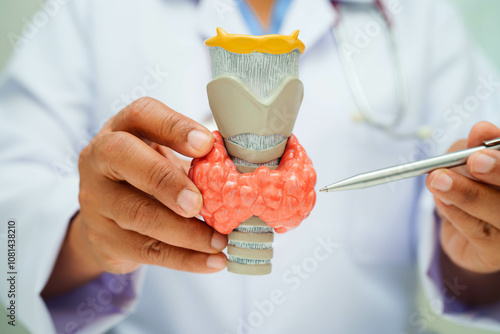 Hyperthyroidism, Overactive Thyroid, Thyroid Lymphoma, Asian doctor with thyroid gland human anatomy model in hospital.