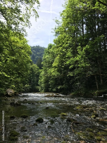 The quiet of the water