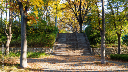 Canvas Print Beautiful Seoul, South Korea