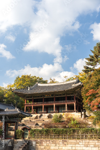 Beautiful Autumn Sponsored by Changdeokgung Palace in Seoul