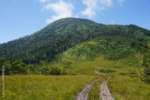 燧ヶ岳の木道 photo