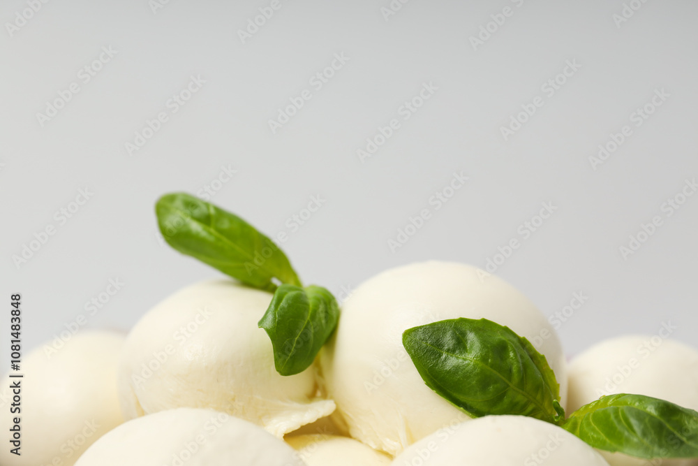 Mozzarella cheese, concept of tasty dairy products Mozzarella cheese, concept of tasty dairy products