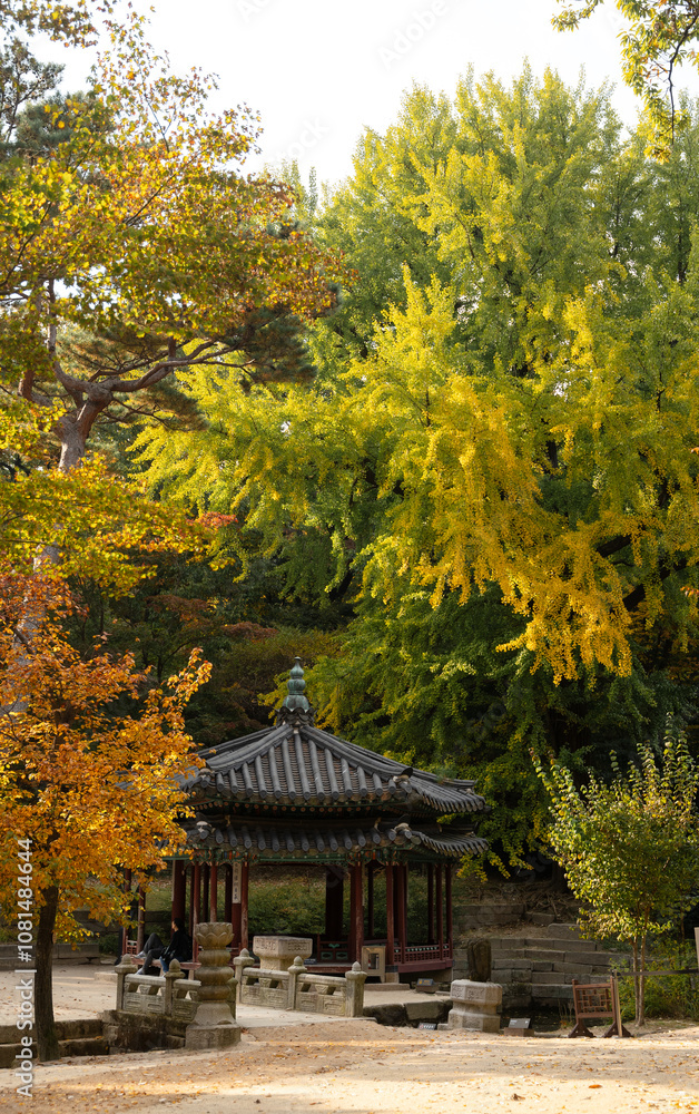 The beautiful scenery of Changdeokgung Palace in Seoul in autumn The beautiful scenery of Changdeokgung Palace in Seoul in autumn