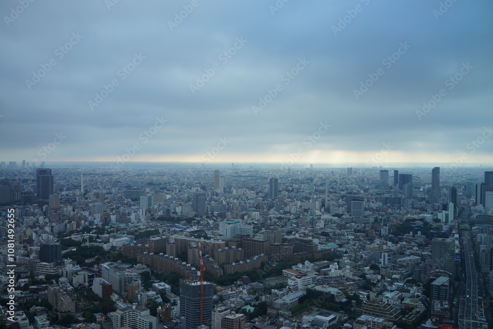 巨大都市を見下ろす 巨大都市を見下ろす