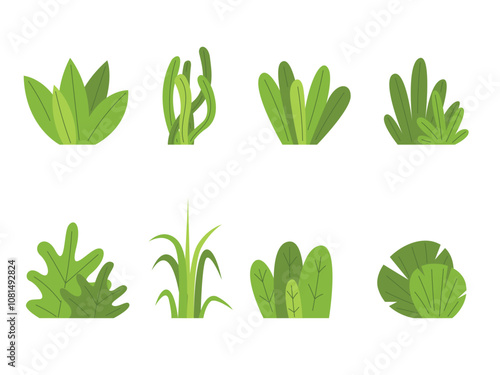Set of shrub bush shrubbery, garden plant element