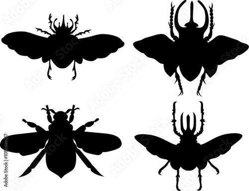 Bettle silhouette vector art black and white